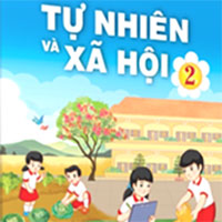 Giáo án Tự nhiên và xã hội 2 sách Chân trời sáng tạo (Cả năm)