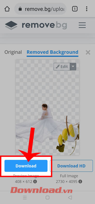 Chạm vào nút Download