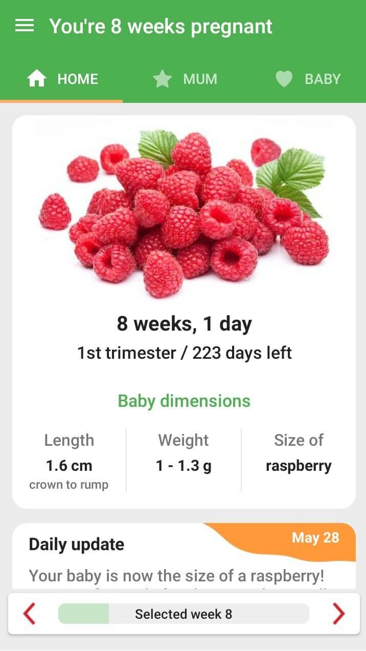 Pregnancy Week by Week