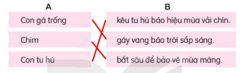 Câu 1