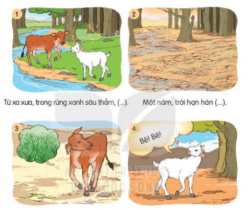 Câu 1