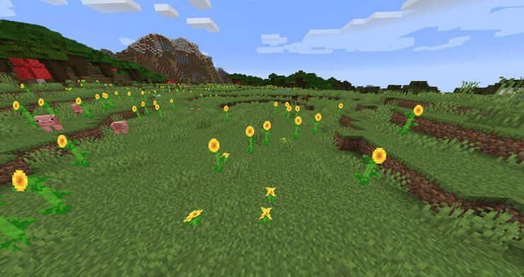 Biome Minecraft đồng bằng