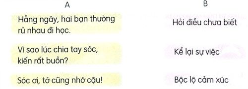 Luyện từ và câu