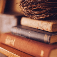 Soạn bài Thực hành tiếng Việt trang 96 - Cánh Diều 6