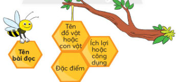 Đọc một bài về đồ vật hoặc con vật