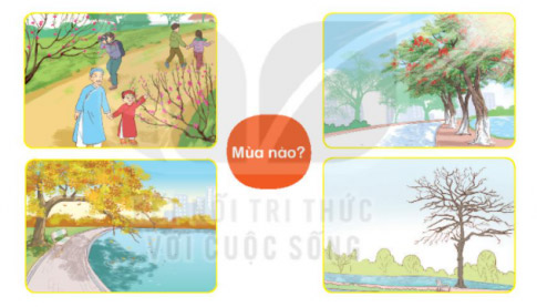 Luyện từ và câu