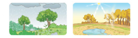 Luyện từ và câu