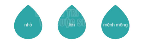 Luyện tập theo văn bản đọc