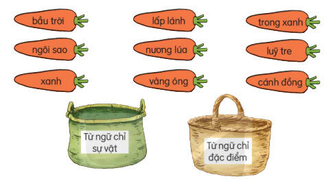 Xếp các từ ngữ vào nhóm