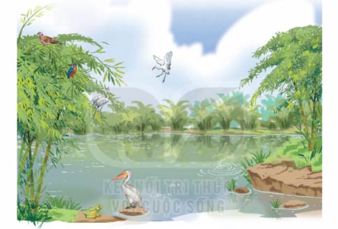 Bờ tre đón khách