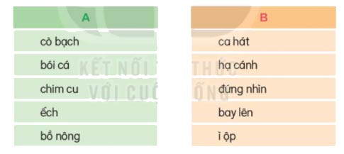 Kết hợp từ ngữ ở cột A với từ ngữ ở cột B