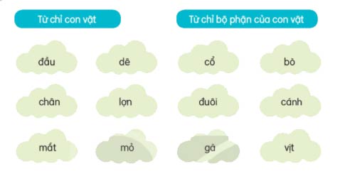 Xếp từ vào nhóm thích hợp