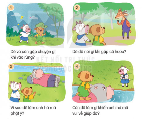 Cảm ơn anh hà mã