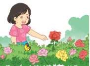 Luyện từ và câu