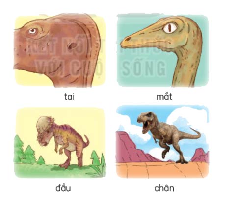 Tả các bộ phận của khủng long