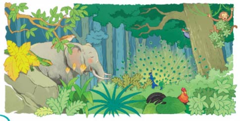 Tên các con vật ẩn trong tranh