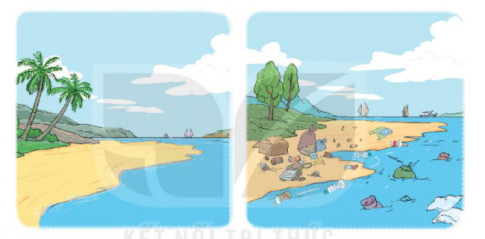 Những con sao biển