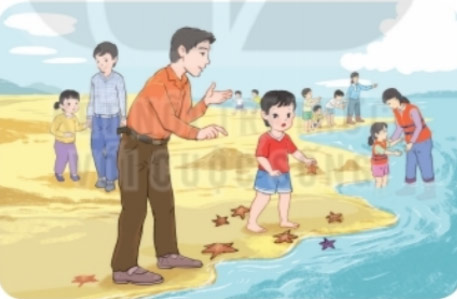 Những con sao biển