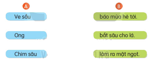  Kết hợp từ ngữ ở cột A với từ ngữ ở cột B 