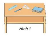 Hình 1