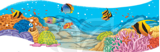 Khám phá đáy biển ở Trường Sa