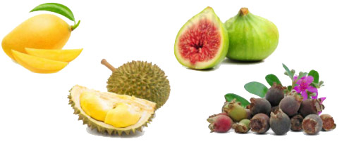 Từ ngữ gọi tên loại quả có tiếng bắt đầu bằng s hoặc x