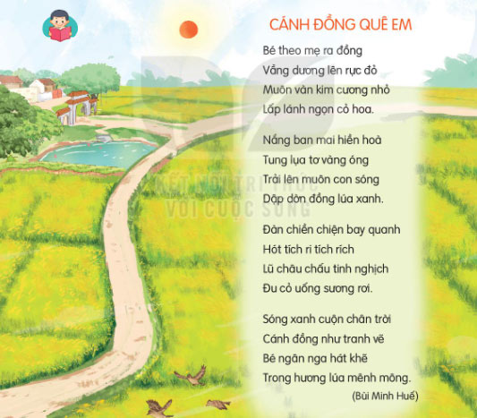 Cánh đồng quê em