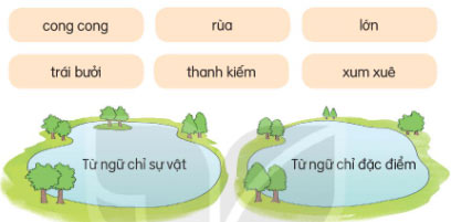 Xếp các từ ngữ