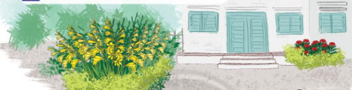 Khu vườn tuổi thơ