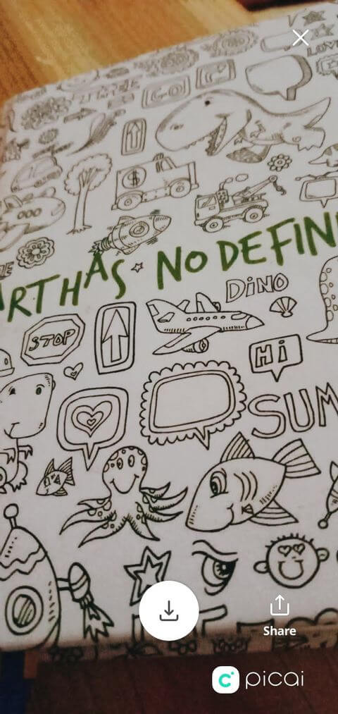 Ảnh chụp bằng Picai