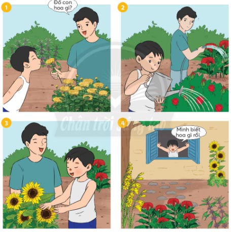 Khu vườn tuổi thơ