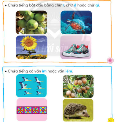 Rừng ngập mặn Cà Mau