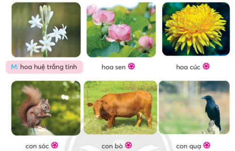 Từ chỉ màu sắc