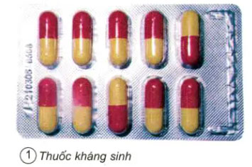 Thuốc kháng sinh