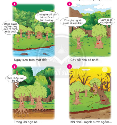 Chuyện của cây sồi