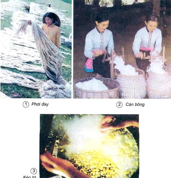 Khoa học lớp 5 Bài 32: Tơ sợi Giải bài tập Khoa học lớp 5 trang 66