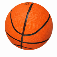 Đoạn văn tiếng Anh về sở thích chơi bóng rổ