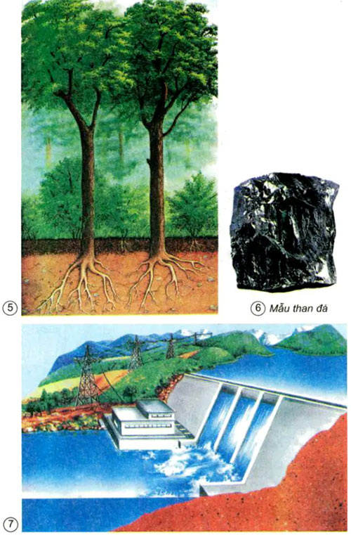 Tài nguyên thiên nhiên