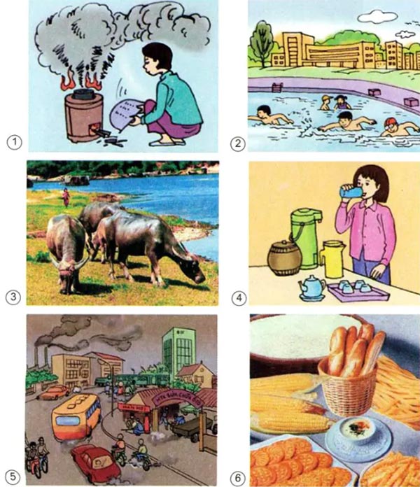 Môi trường tự nhiên