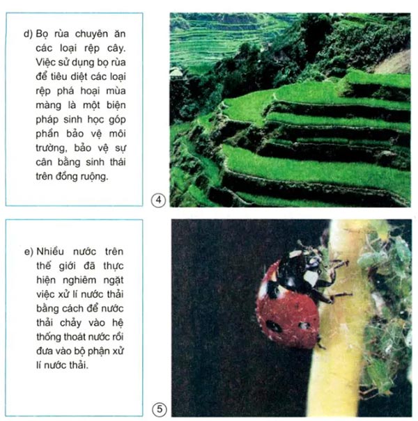 Bảo vệ môi trường