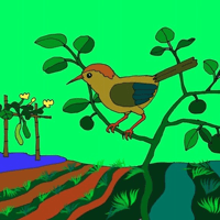 Soạn bài Chích bông ơi - Cánh Diều 6