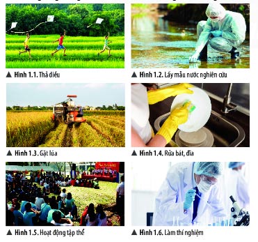 Câu hỏi lý thuyết Khoa học tự nhiên 6