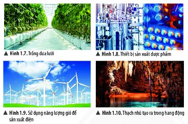 Câu hỏi lý thuyết Khoa học tự nhiên 6