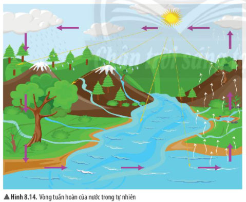 Hình 8.14