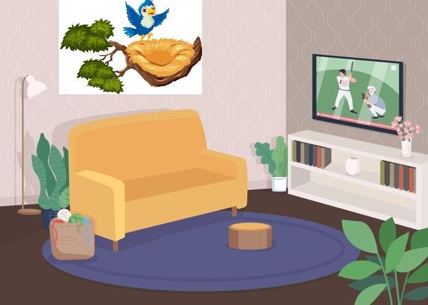 Draw a plan for the room