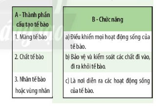 Xác định chức năng