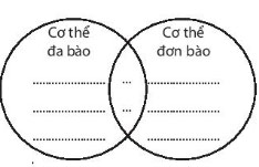 Cơ thể đa bào