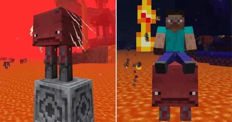 Strider trong Minecraft