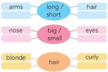 Work in groups