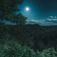 Phân tích bài thơ Cảnh khuya của Hồ Chí Minh